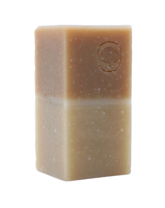 OILY SKIN COLD PROCESSED FACE & BODY SOAP BLOCK