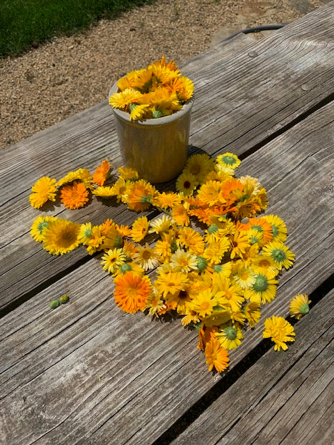 SENSITIVE SKIN WITH CHAMOMILE & CALENDULA COLD PROCESSED FACE & BODY SOAP BLOCK