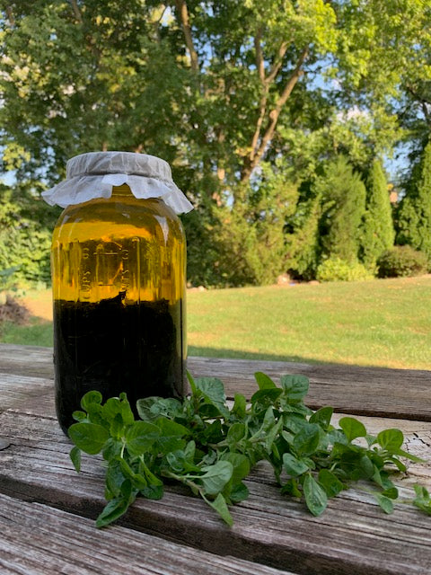 CALENDULA & MINT COLD PROCESSED SHAVING SOAP