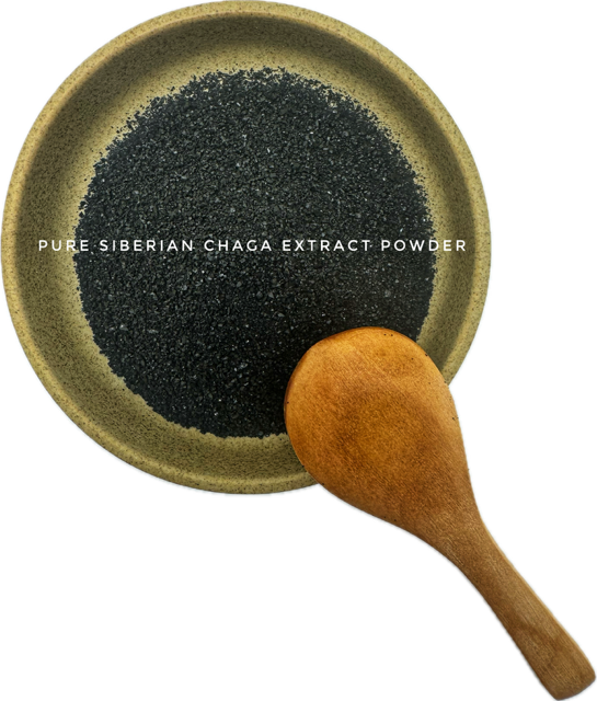SIBERIAN CHAGA FREEZE-DRIED EXTRACT POWDER 4 oz