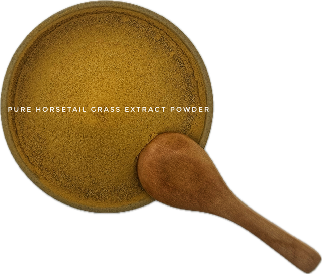 HORSETAIL WATER-SOLUBLE LiveExtract® POWDER 2 oz