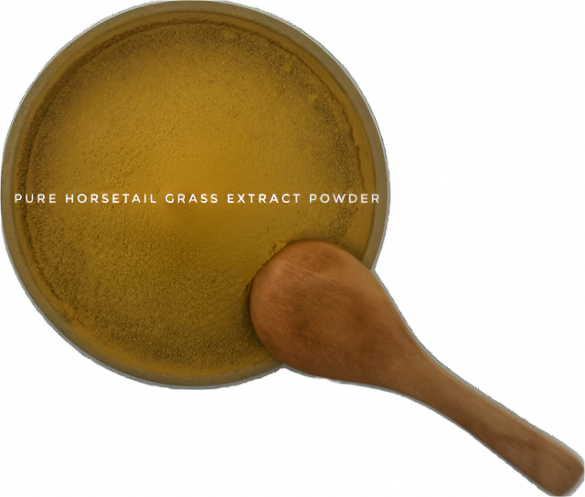 DETOX COLD PRESSED FACE & BODY SOAP BLOCK