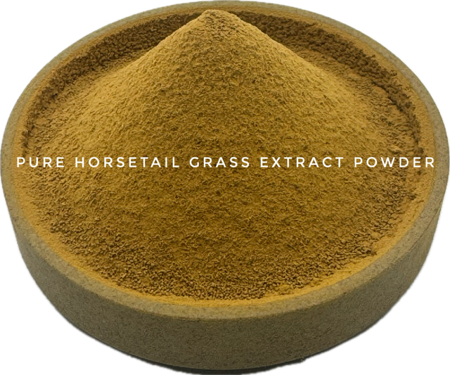 HORSETAIL WATER-SOLUBLE LiveExtract® POWDER 2 oz